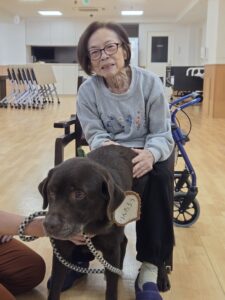 ドックセラピー